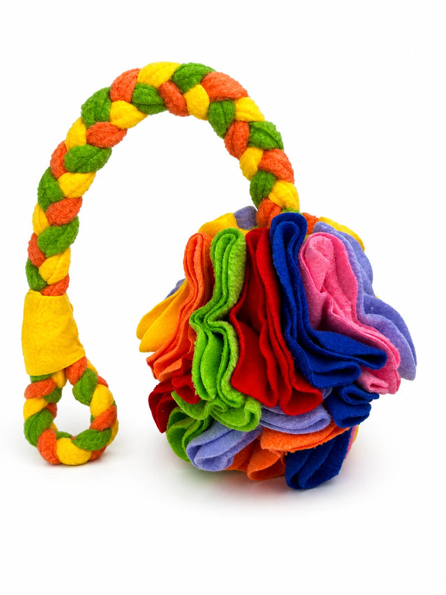 PawPlay™ Enrichment Toy