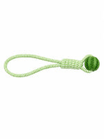 PawPlay™ Enrichment Toy