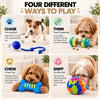 Dog Enrichment Bundle