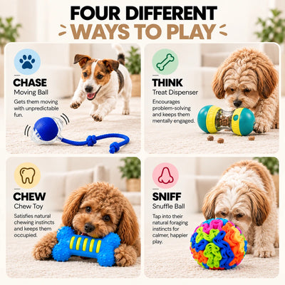 Dog Enrichment Bundle
