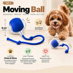 Dog Enrichment Bundle